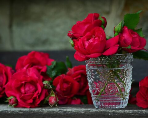 Dzień Kobiet w Skierniewicach