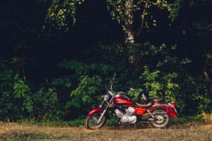 VI Ogólnopolski Skierniewicki Zlot Motocyklowy Niedzielne Wilki - zdjecie ilustracyjne