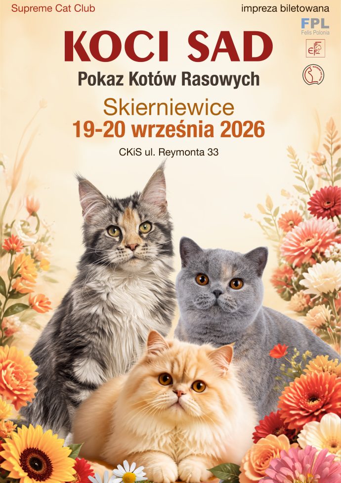 Plakat: Koci Sad: pokaz kotów rasowych. Materiał Centrum Kultury i Sztuki w Skierniewicach.